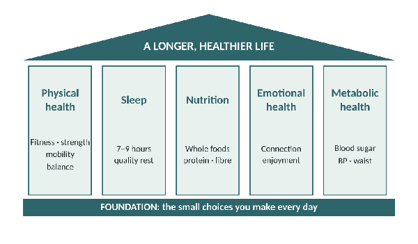 The pillars of longevity, built on the small choices you make every day.