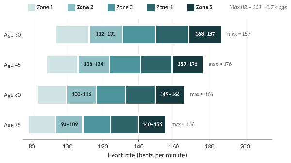 Heart rate zones by age, using maximum heart rate = 208 − 0.7 × age. Zone 2 and Zone 5 (VO2 max training) are labelled.