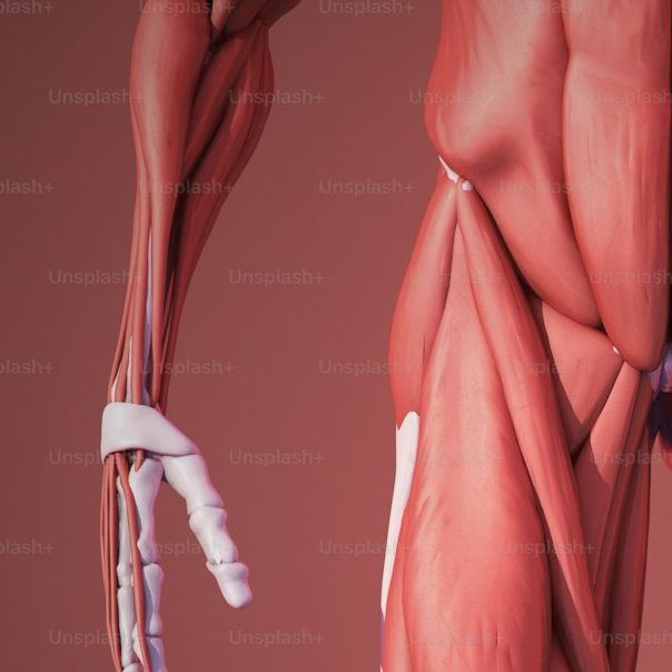 Hip flexor strain