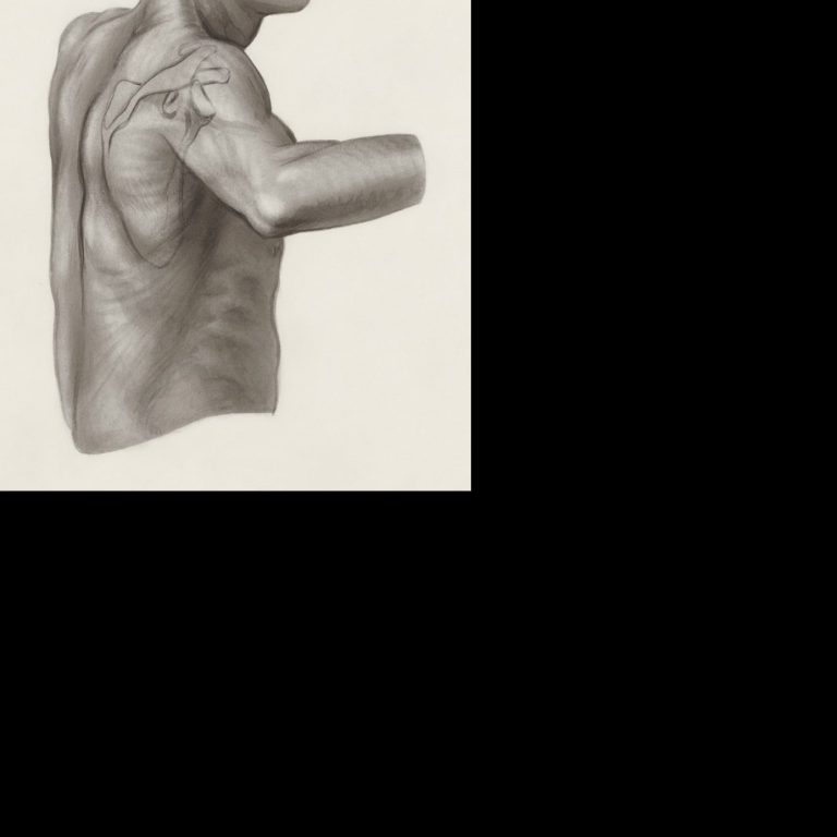 Shoulder anatomy